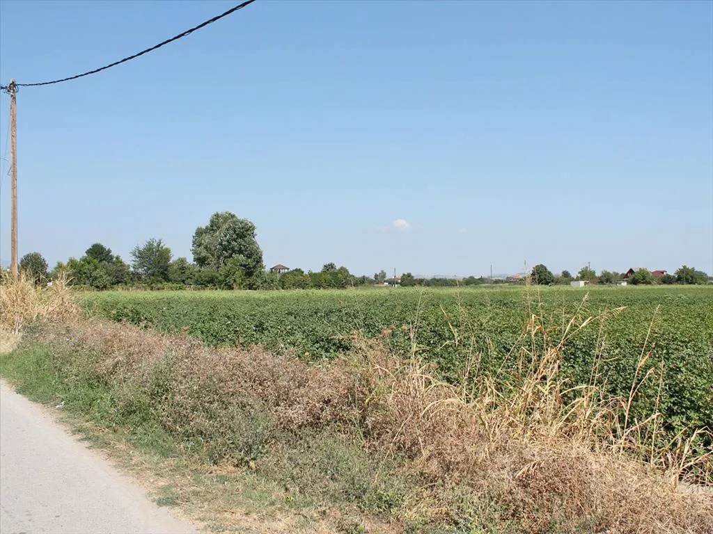 οικόπεδο προς πώληση 4000 τ.μ Κατερίνη Νομός Πιερίας