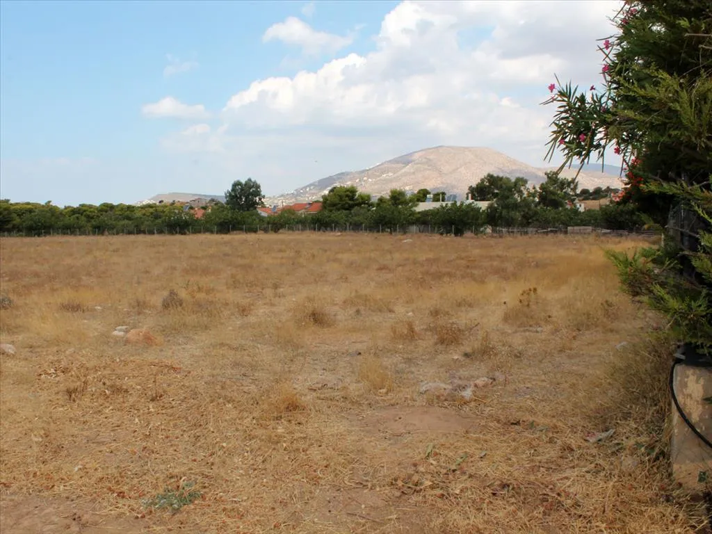 οικόπεδο προς πώληση 7900 τ.μ Παλαιά Φώκαια Υπόλοιπη Αττικής
