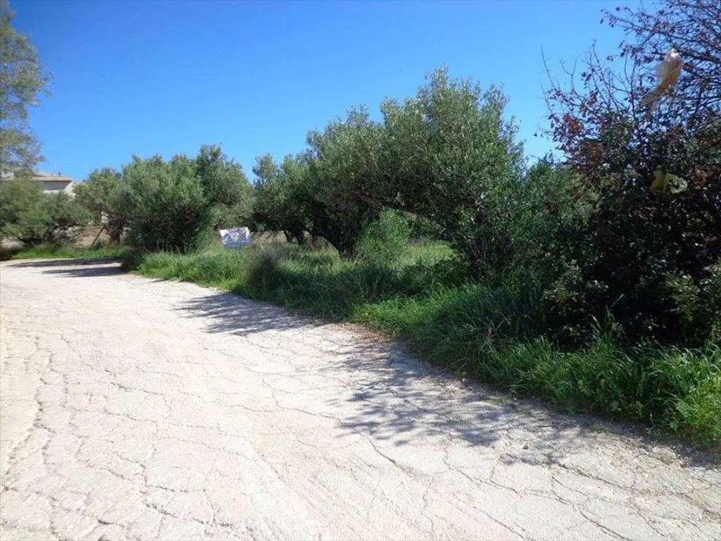 οικόπεδο προς πώληση 3783 τ.μ Μακρύς Γιαλός Νομός Λασιθίου