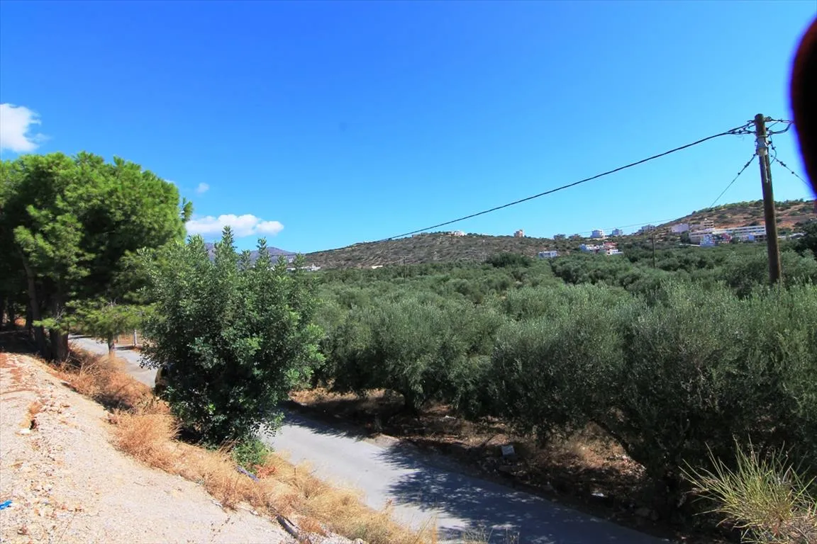 οικόπεδο προς πώληση 7800 τ.μ Άγιος Νικόλαος Νομός Λασιθίου