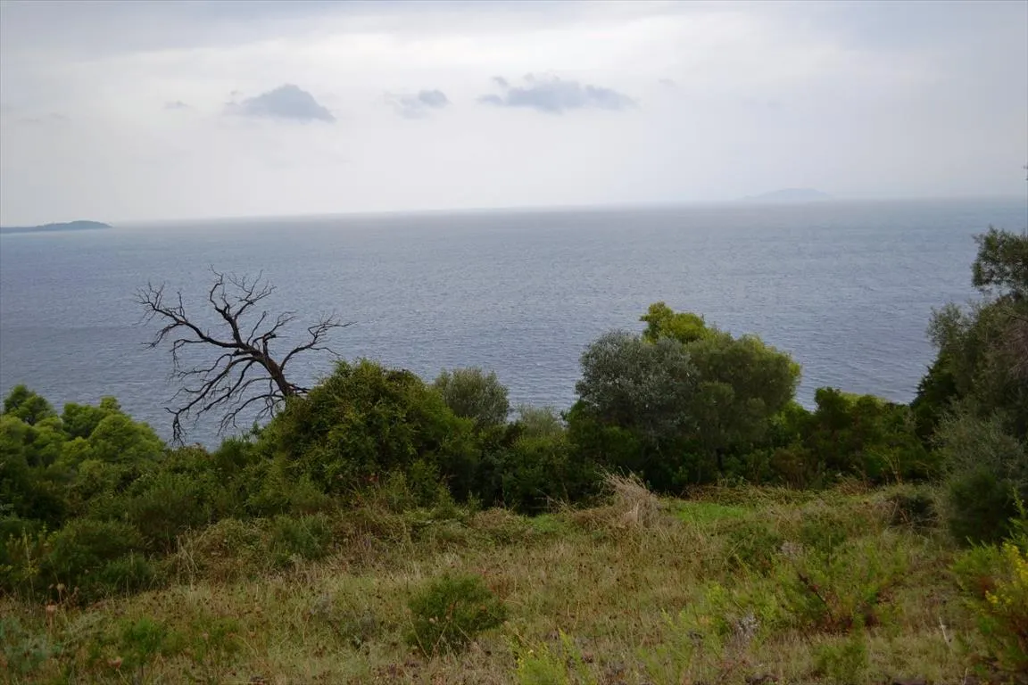 οικόπεδο προς πώληση 4200 τ.μ Κασσάνδρα Χαλκιδική