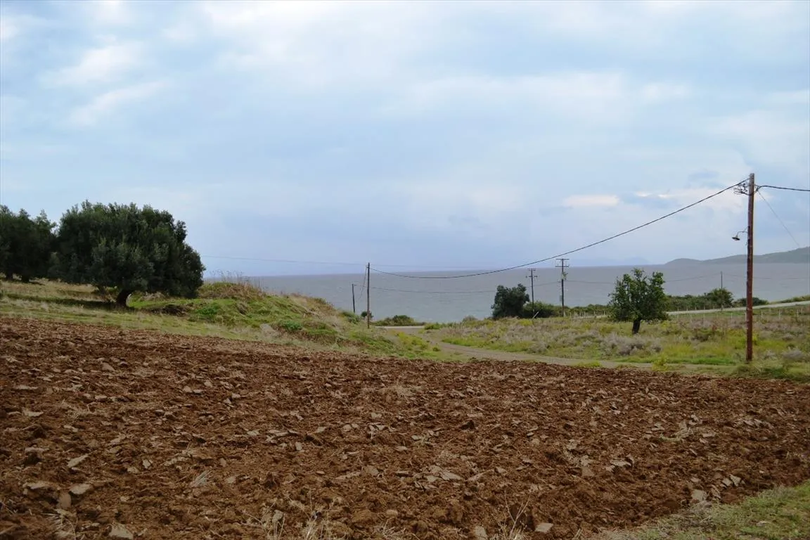 οικόπεδο προς πώληση 8404 τ.μ Κασσάνδρα Χαλκιδική