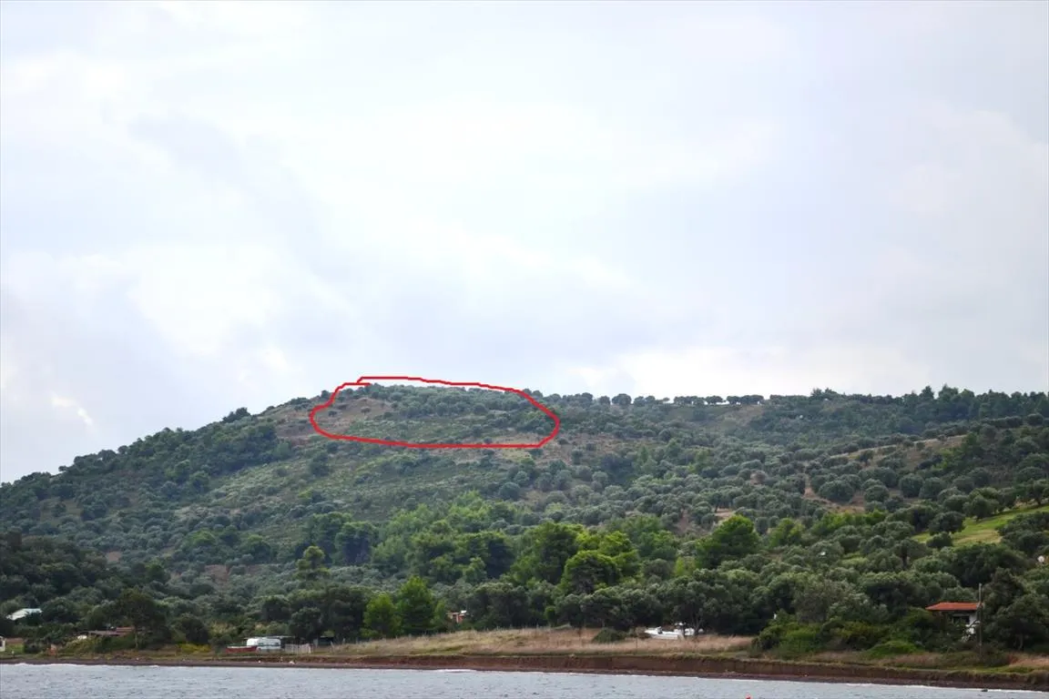 οικόπεδο προς πώληση 5300 τ.μ Κασσάνδρα Χαλκιδική