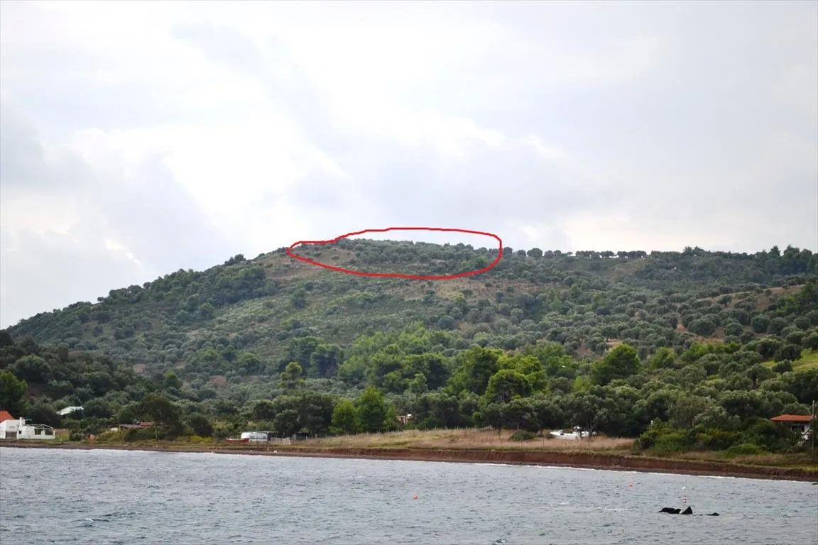 οικόπεδο προς πώληση 5300 τ.μ Κασσάνδρα Χαλκιδική