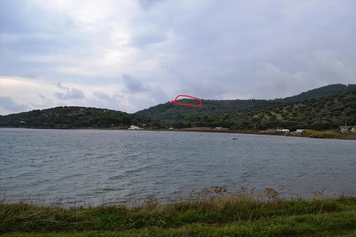 οικόπεδο προς πώληση 5300 τ.μ Κασσάνδρα Χαλκιδική