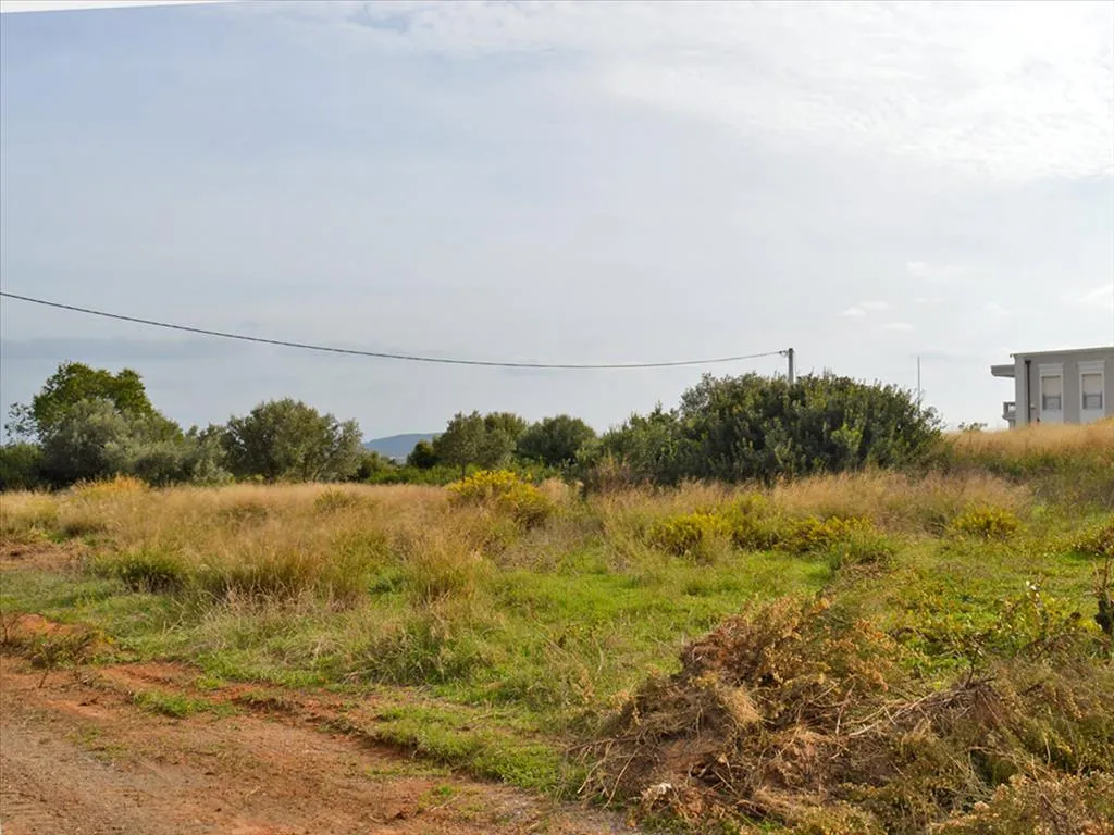 οικόπεδο προς πώληση 1750 τ.μ Ραφήνα Υπόλοιπη Αττικής
