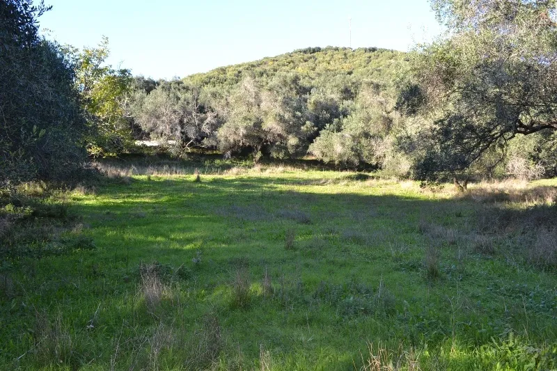 οικόπεδο προς πώληση 6903 τ.μ Κέρκυρα Νομός Κέρκυρας