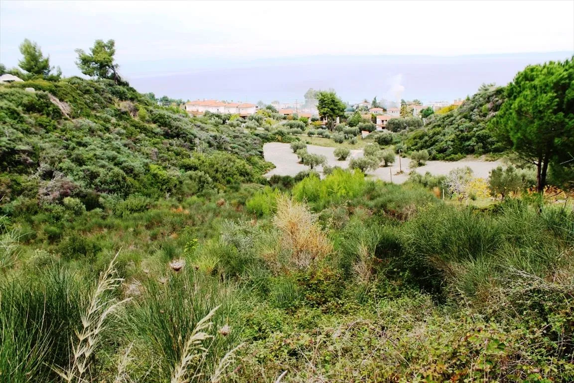 οικόπεδο προς πώληση 3300 τ.μ Κασσάνδρα Χαλκιδική