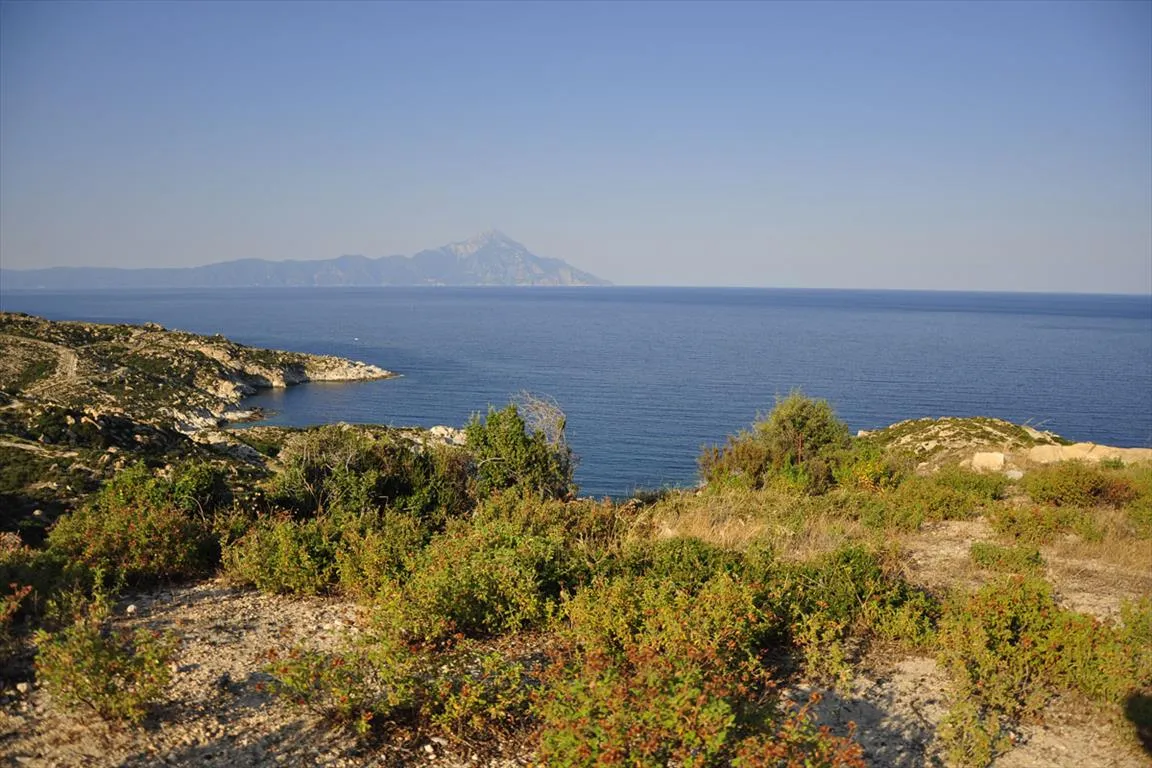 οικόπεδο προς πώληση 500 τ.μ Σιθωνία Χαλκιδική