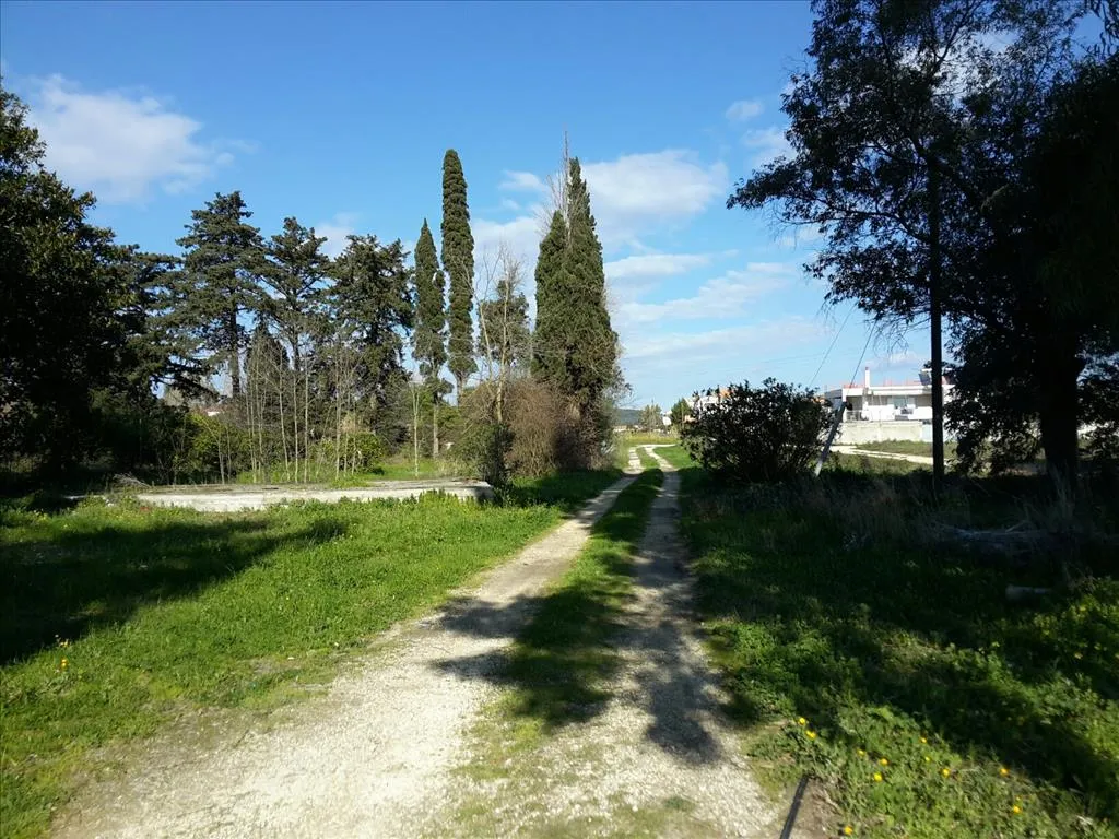 οικόπεδο προς πώληση 120000 τ.μ Αρκάδι Ζάκυνθος