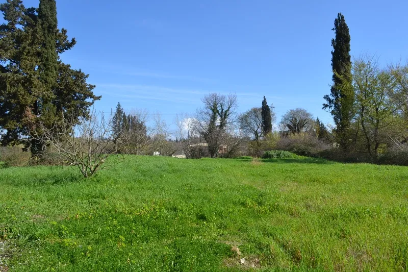οικόπεδο προς πώληση 6500 τ.μ Κέρκυρα Νομός Κέρκυρας