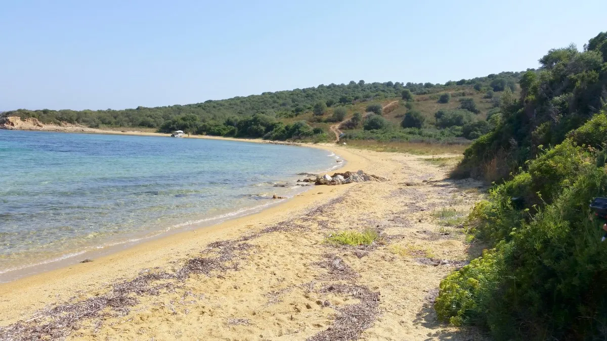 οικόπεδο προς πώληση 12000 τ.μ Αριστοτέλης Χαλκιδική
