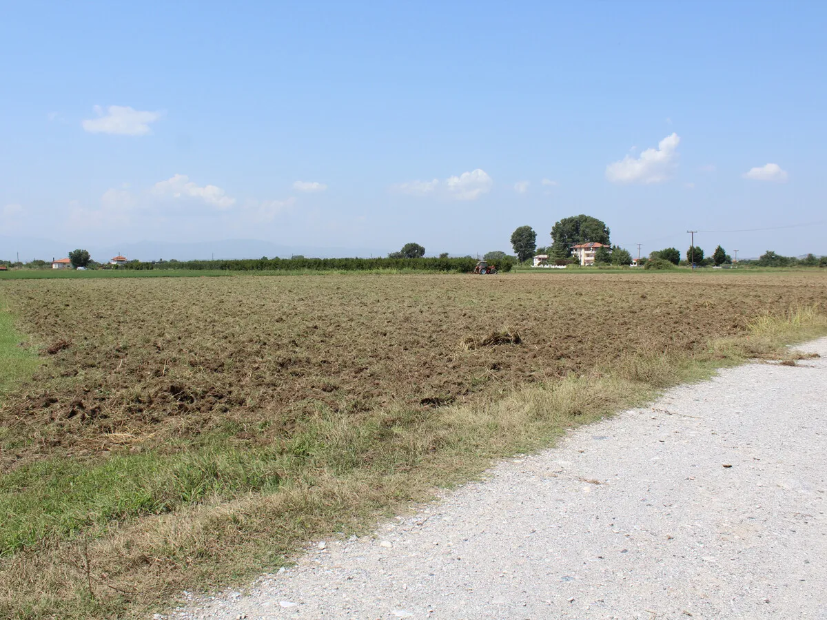 οικόπεδο προς πώληση 13250 τ.μ Κατερίνη Νομός Πιερίας