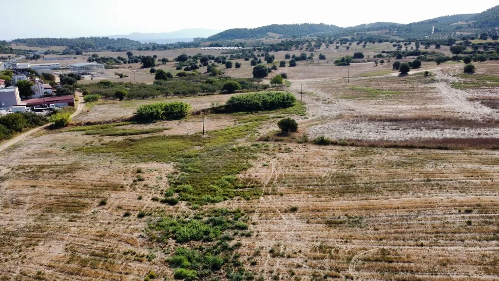 οικόπεδο προς πώληση 4000 τ.μ Κασσάνδρα Χαλκιδική