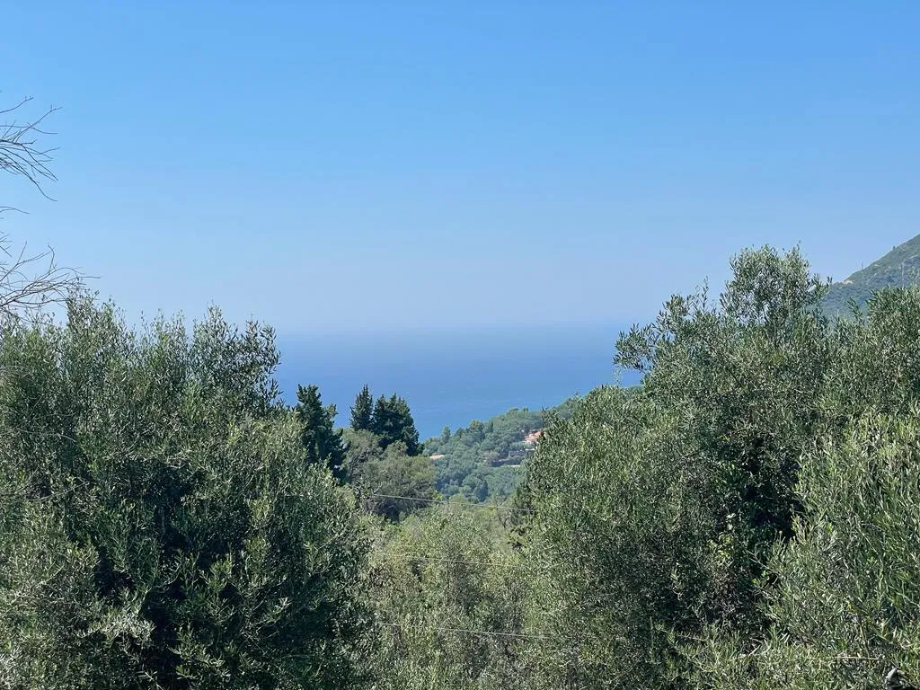 οικόπεδο προς πώληση 1202 τ.μ Κέρκυρα Νομός Κέρκυρας