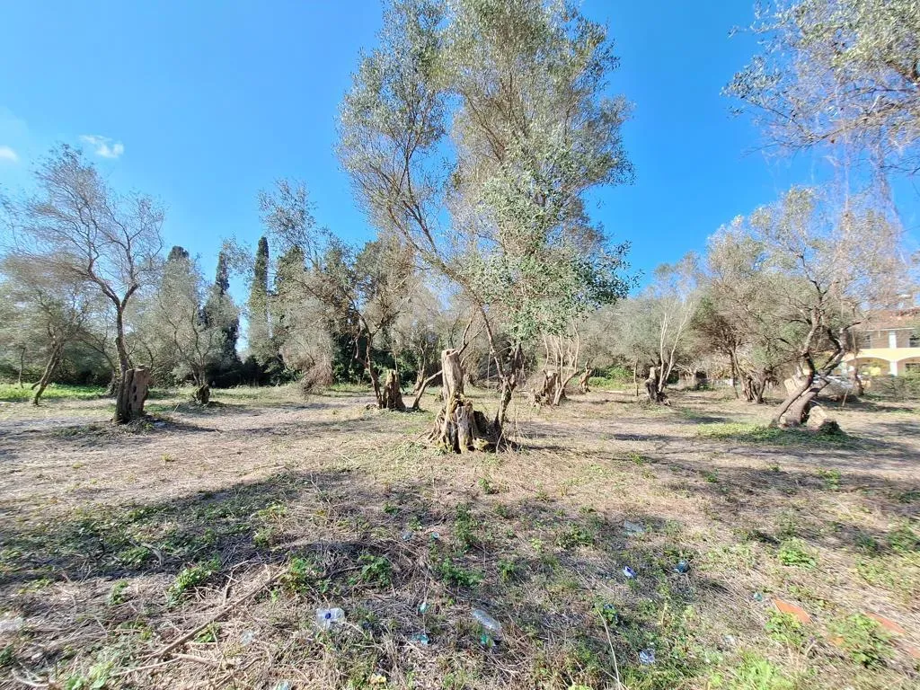 οικόπεδο προς πώληση 3533 τ.μ Κέρκυρα Νομός Κέρκυρας