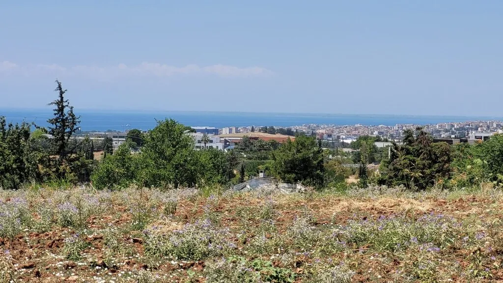 οικόπεδο προς πώληση 4748 τ.μ Πανόραμα Προάστια Θεσσαλονίκης