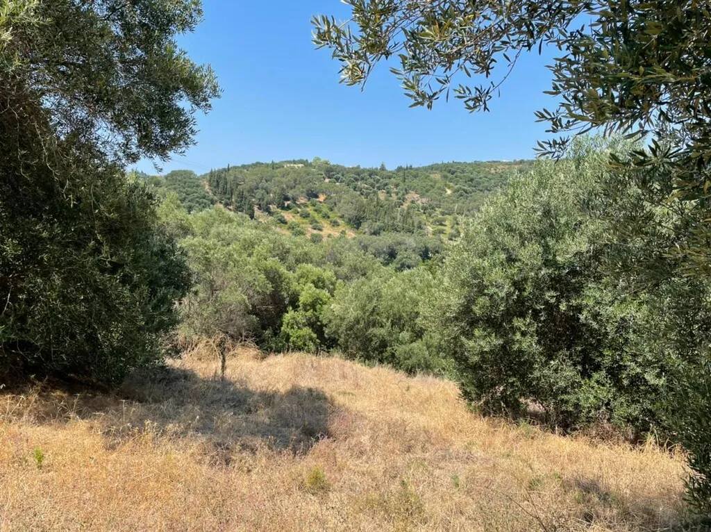 οικόπεδο προς πώληση 5200 τ.μ Κέρκυρα Νομός Κέρκυρας