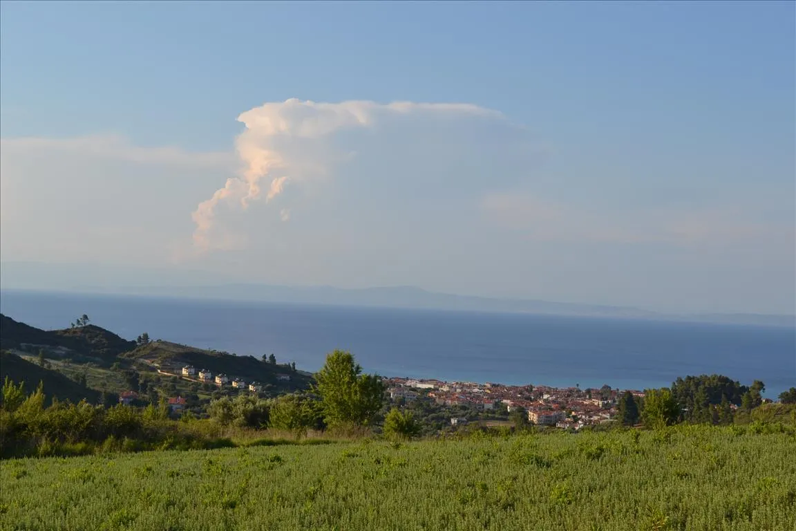 οικόπεδο προς πώληση 15400 τ.μ Κασσάνδρα Χαλκιδική