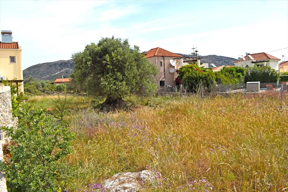 οικόπεδο προς πώληση 1471 τ.μ Βάμος Νομός Χανίων
