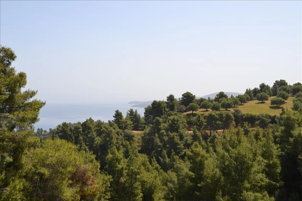 οικόπεδο προς πώληση 4650 τ.μ Κασσάνδρα Χαλκιδική