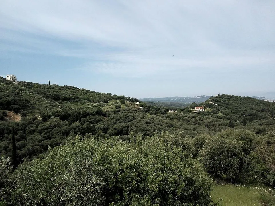 οικόπεδο προς πώληση 17000 τ.μ Κέρκυρα Νομός Κέρκυρας