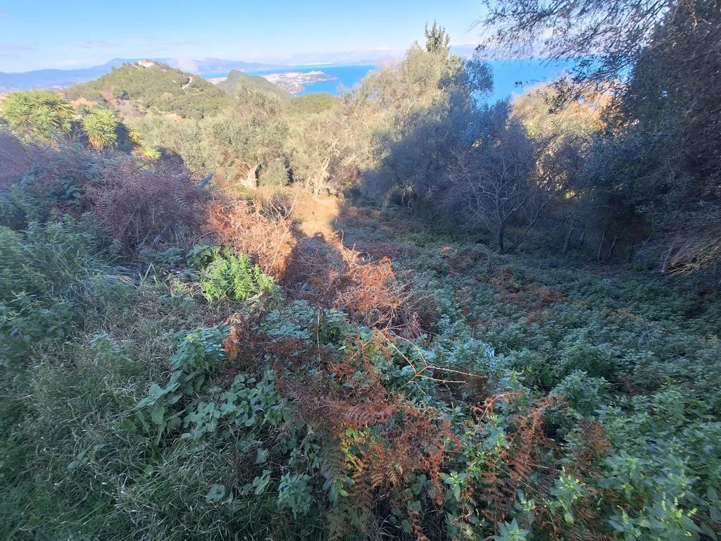 οικόπεδο προς πώληση 2300 τ.μ Κέρκυρα Νομός Κέρκυρας