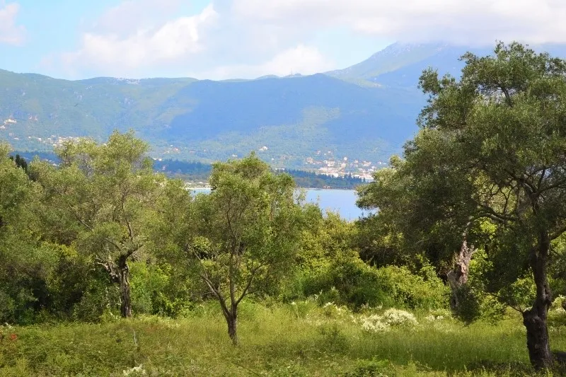 οικόπεδο προς πώληση 5500 τ.μ Κέρκυρα Νομός Κέρκυρας