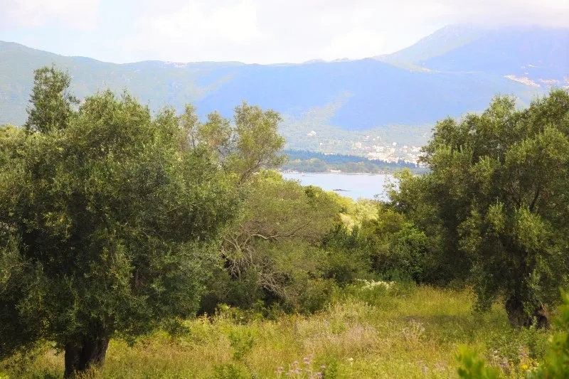 οικόπεδο προς πώληση 5500 τ.μ Κέρκυρα Νομός Κέρκυρας
