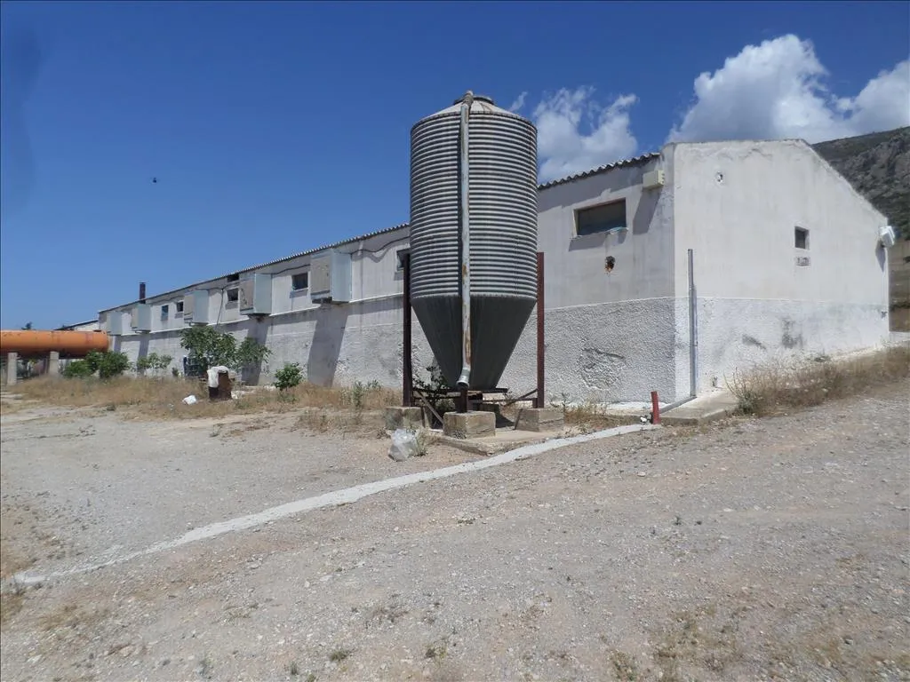 οικόπεδο προς πώληση 22000 τ.μ Μέγαρα Υπόλοιπη Αττικής