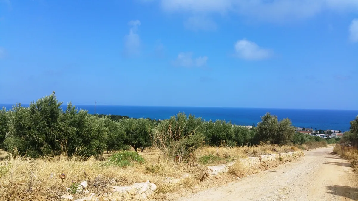 οικόπεδο προς πώληση 20000 τ.μ Γεροπόταμος Νομός Ρεθύμνου