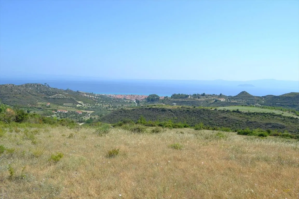 οικόπεδο προς πώληση 7378 τ.μ Κασσάνδρα Χαλκιδική