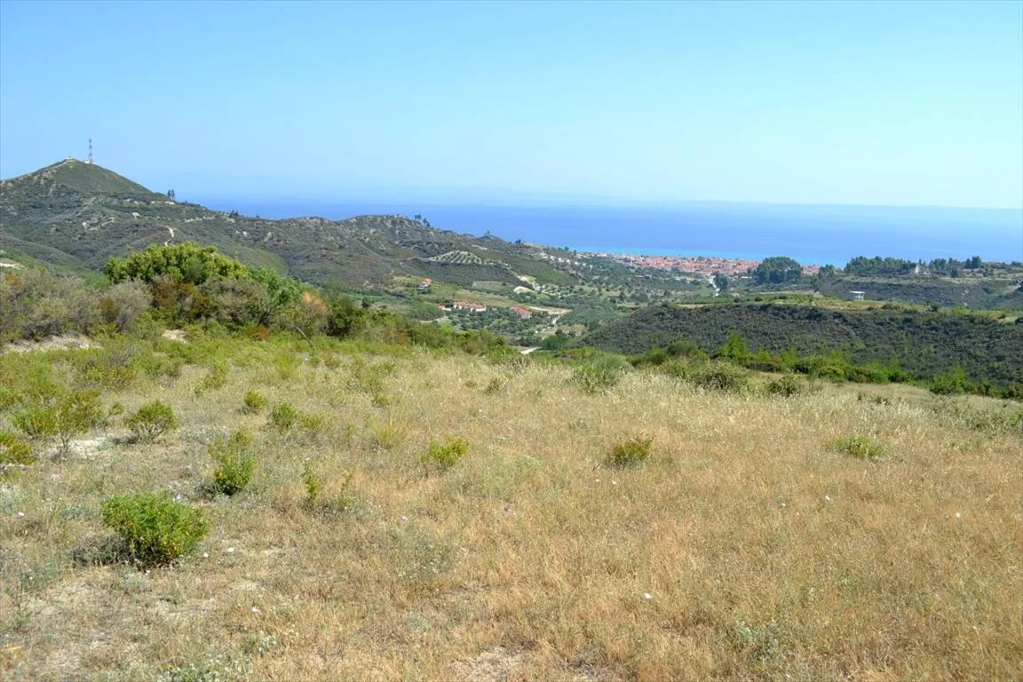οικόπεδο προς πώληση 7378 τ.μ Κασσάνδρα Χαλκιδική