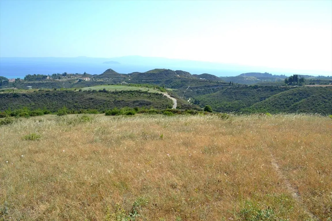 οικόπεδο προς πώληση 7378 τ.μ Κασσάνδρα Χαλκιδική