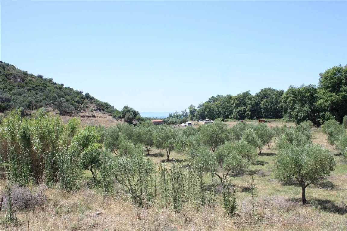 οικόπεδο προς πώληση 8000 τ.μ Σιθωνία Χαλκιδική