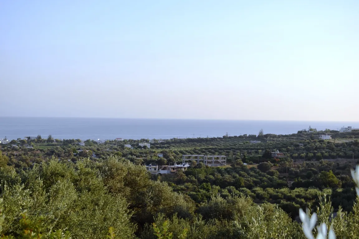 οικόπεδο προς πώληση 4800 τ.μ Αρκάδι Νομός Ρεθύμνου
