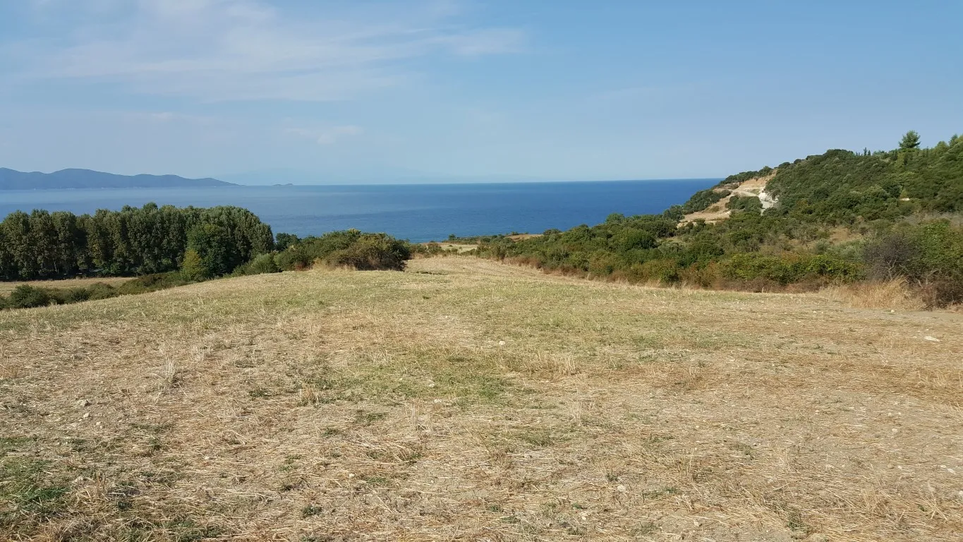 οικόπεδο προς πώληση 7000 τ.μ Αριστοτέλης Χαλκιδική
