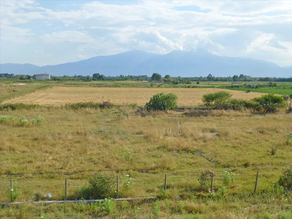 οικόπεδο προς πώληση 4797 τ.μ Κατερίνη Νομός Πιερίας
