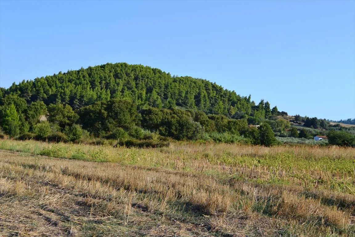 οικόπεδο προς πώληση 4000 τ.μ Κασσάνδρα Χαλκιδική
