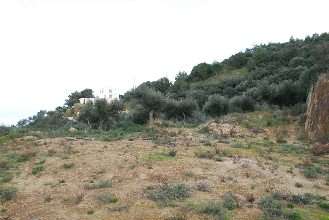 οικόπεδο προς πώληση 13000 τ.μ Κύρια περιοχή πόλης Ζάκυνθος