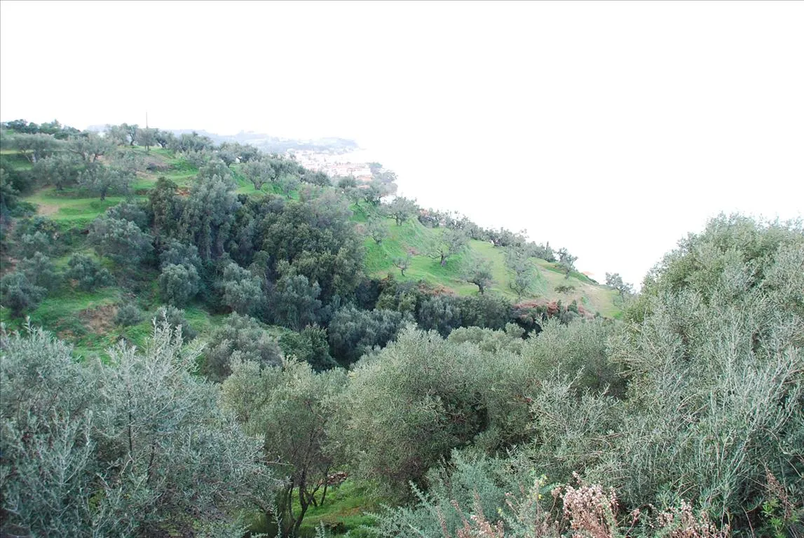οικόπεδο προς πώληση 13000 τ.μ Κύρια περιοχή πόλης Ζάκυνθος