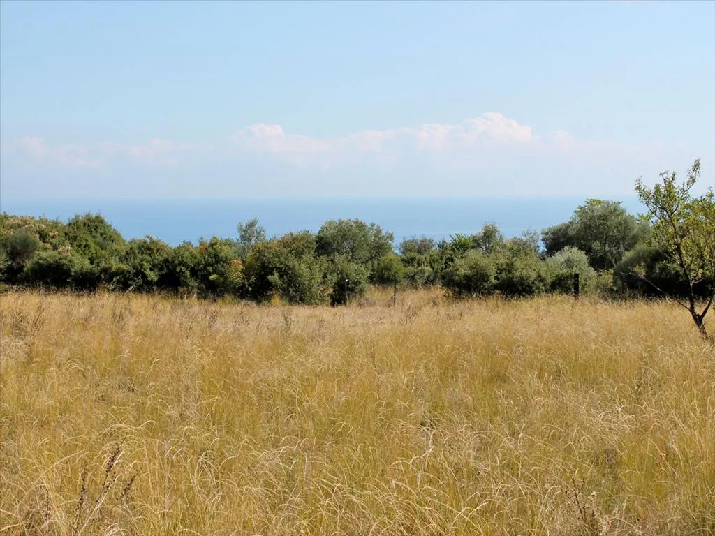 οικόπεδο προς πώληση 450 τ.μ Λιτόχωρο Νομός Πιερίας