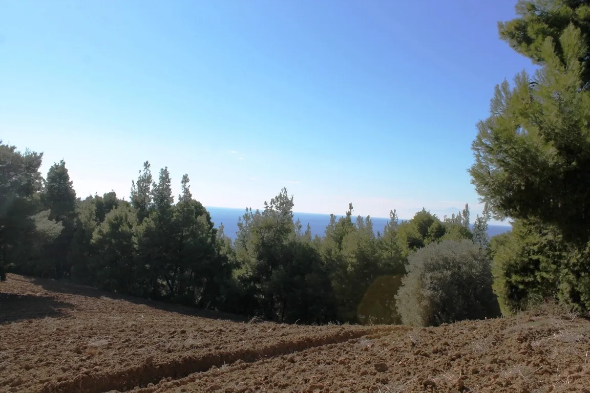 οικόπεδο προς πώληση 9500 τ.μ Κασσάνδρα Χαλκιδική