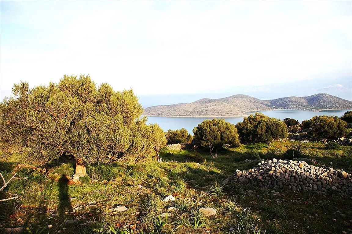 οικόπεδο προς πώληση 5779 τ.μ Άγιος Νικόλαος Νομός Λασιθίου