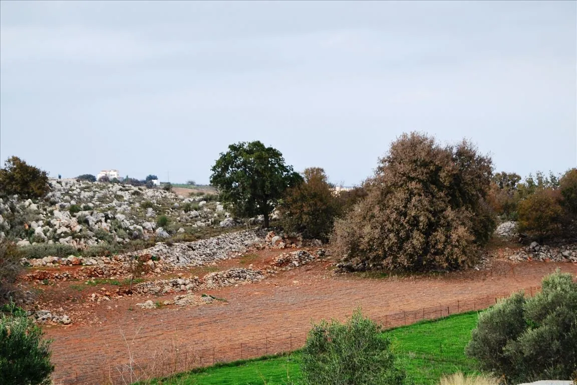 οικόπεδο προς πώληση 8500 τ.μ Ρέθυμνο Νομός Ρεθύμνου