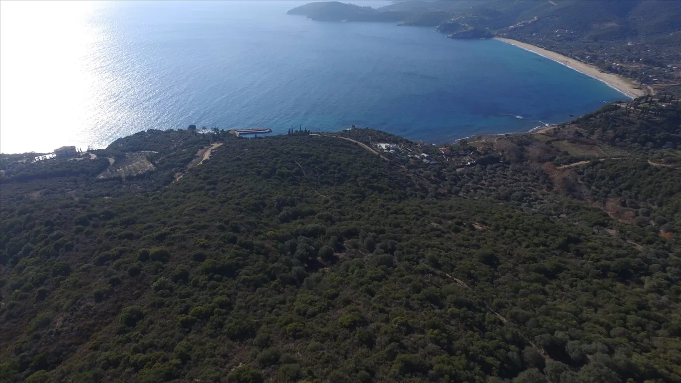 οικόπεδο προς πώληση 12415 τ.μ Αριστοτέλης Χαλκιδική