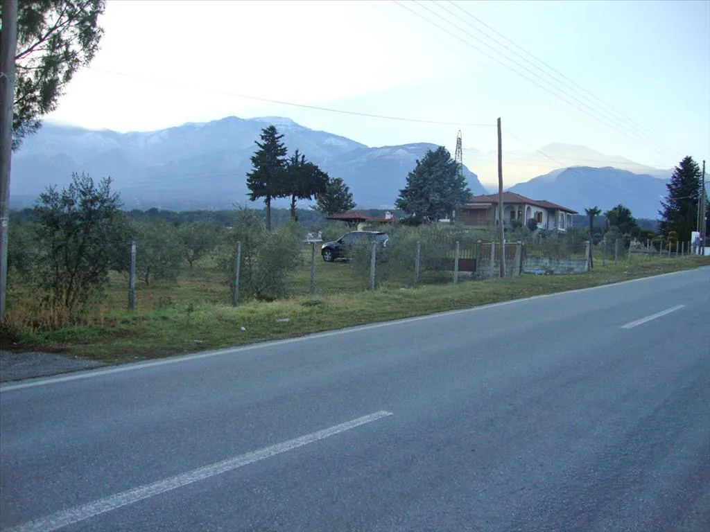 οικόπεδο προς πώληση 4300 τ.μ Λιτόχωρο Νομός Πιερίας