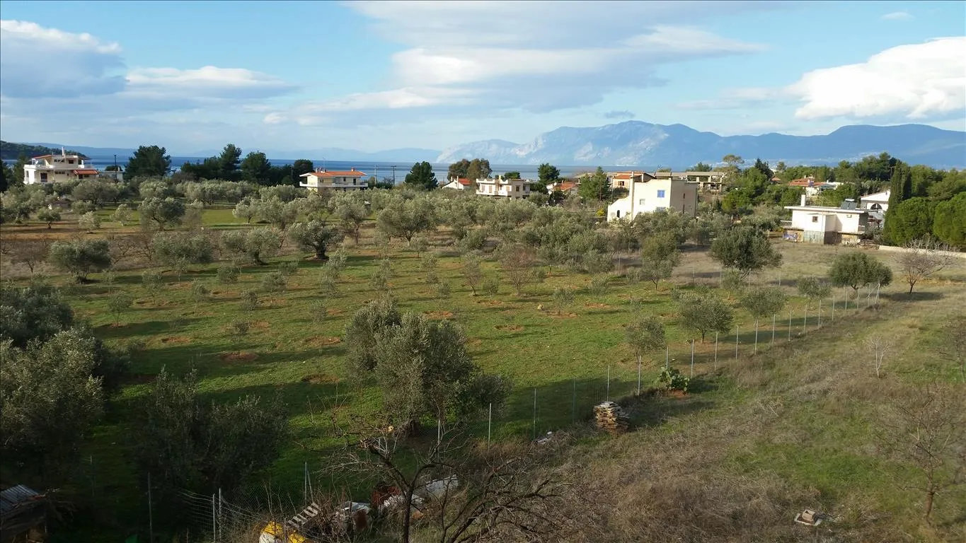 μονοκατοικία προς πώληση 420 τ.μ Ανθηδώνα Εύβοια