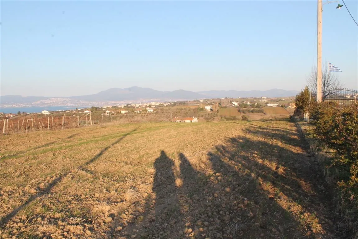 οικόπεδο προς πώληση 14400 τ.μ Θερμαϊκός Προάστια Θεσσαλονίκης
