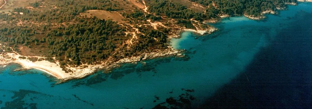 οικόπεδο προς πώληση 32000000 τ.μ Σιθωνία Χαλκιδική